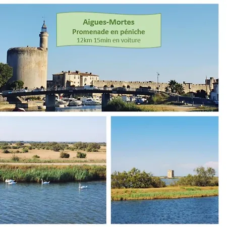 Incas Pour 2 Clim Wifi Piscine Centre-ville - Rossiconciergerie - Linge Inclus