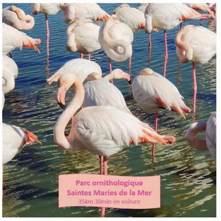 Apartmán Incas Pour 2 Clim Wifi Piscine Centre-ville - Rossiconciergerie - Linge Inclus *