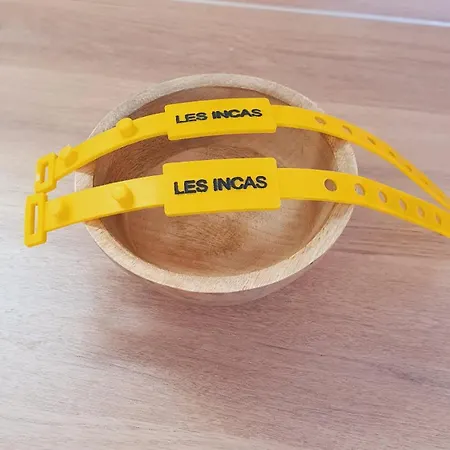 Incas Pour 2 Clim Wifi Piscine Centre-ville - Rossiconciergerie - Linge Inclus