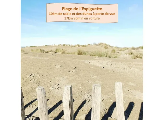 Incas Pour 2 Clim Wifi Piscine Centre-ville - Rossiconciergerie - Linge Inclus * La Grande-Motte