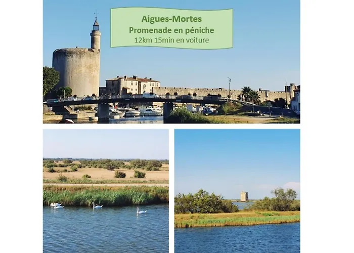Incas Pour 2 Clim Wifi Piscine Centre-ville - Rossiconciergerie - Linge Inclus
