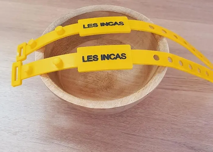 Incas Pour 2 Clim Wifi Piscine Centre-ville - Rossiconciergerie - Linge Inclus